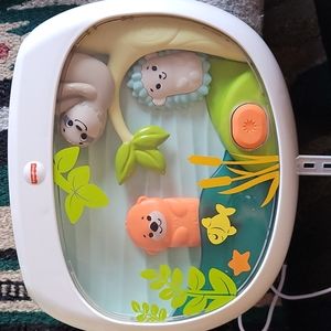 Fisher price settle & sleep projection